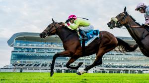Kathynmarissa, T Kraft Advance to Breeders' Cup with Stakes Victories at Belmont Park